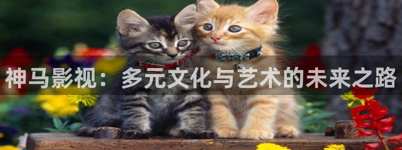 欧美影院在线免费观看：神马影视：多元文化与艺术的未来之路