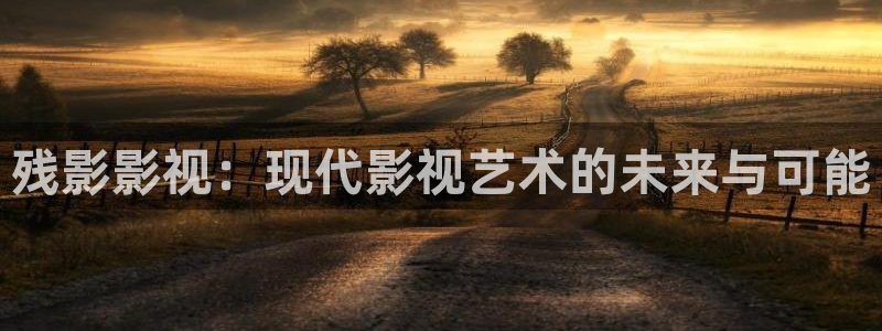 欧美影院在线观看：残影影视：现代影视艺术的未来与可能