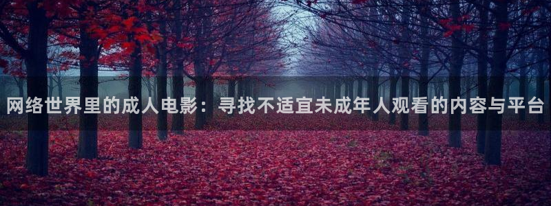 欧美影院第一区