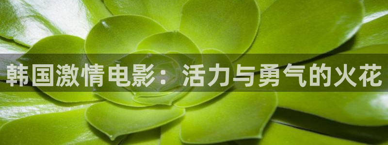 在线欧美影院：韩国激情电影：活力与勇气的火花