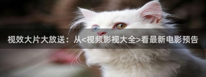 777欧美影院