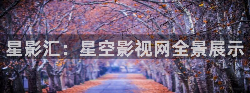 欧美影院：星影汇：星空影视网全景展示